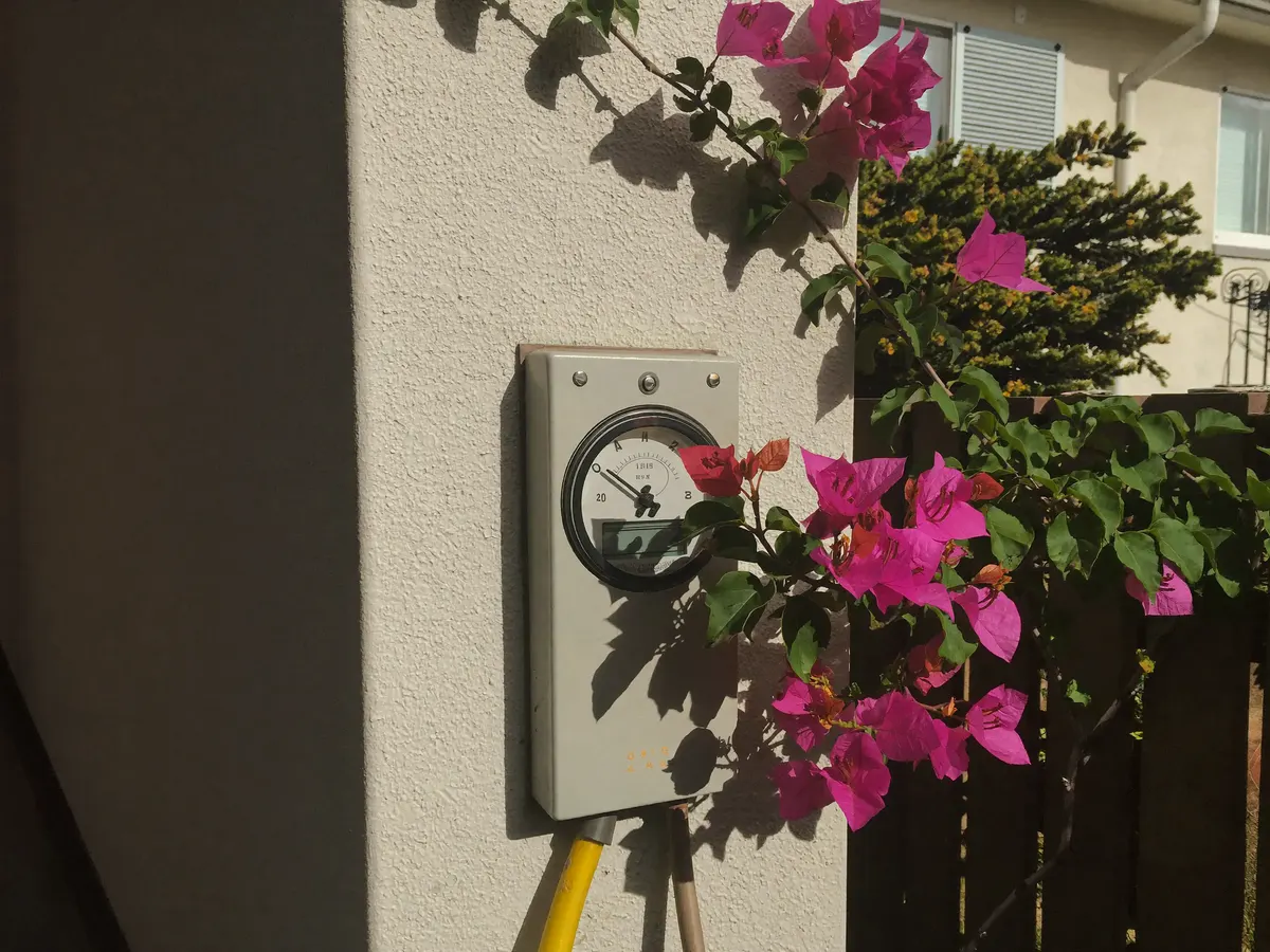 An electric meter on the sunny stucco wall of a California home, bougainvillea beside it.