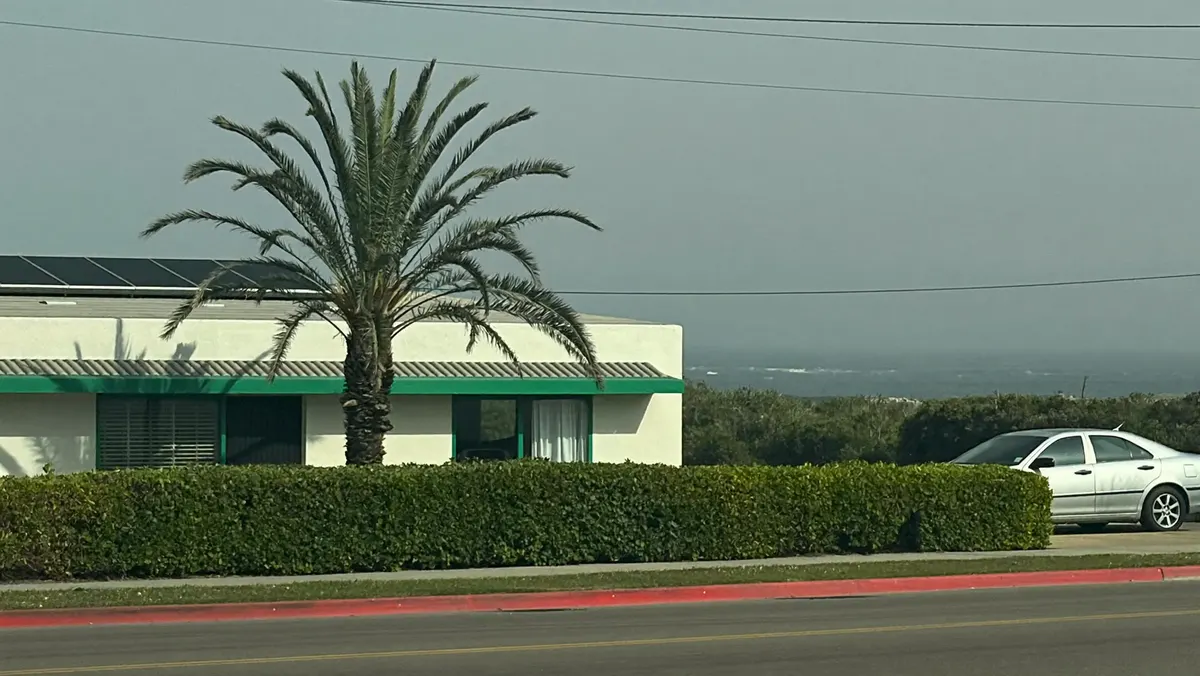 A single-story stucco home with a palm tree and a low hedge on a coastal San Diego street under a grey marine-layer sky.